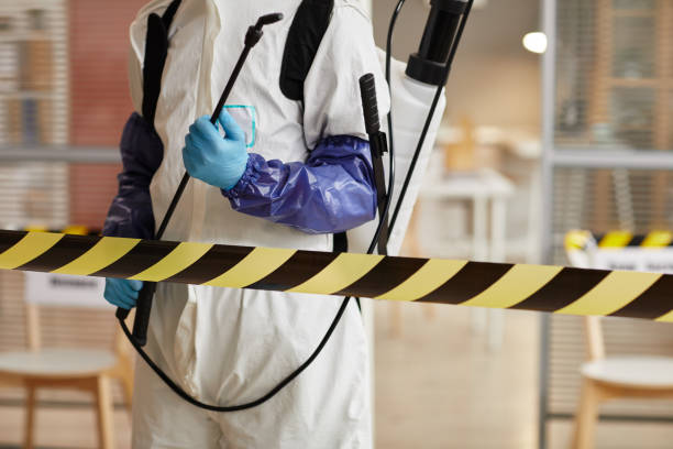 Professional Sewage Cleanup technician working in Boston, IN